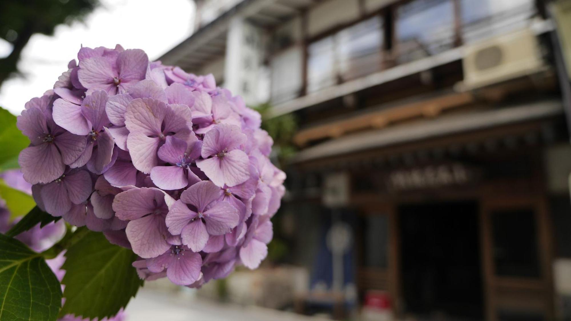 Shibu Onsen Koishiya Ryokan Yamanouchi  Eksteriør bilde